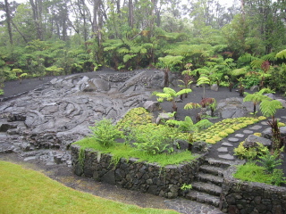 Native plant garden