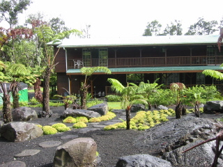Back of the house - view from Forest trail exit
