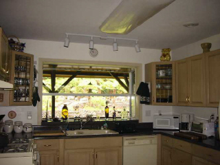 Kitchen - looking out the back