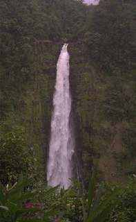 Akaka falls - near Hilo on the Big Island